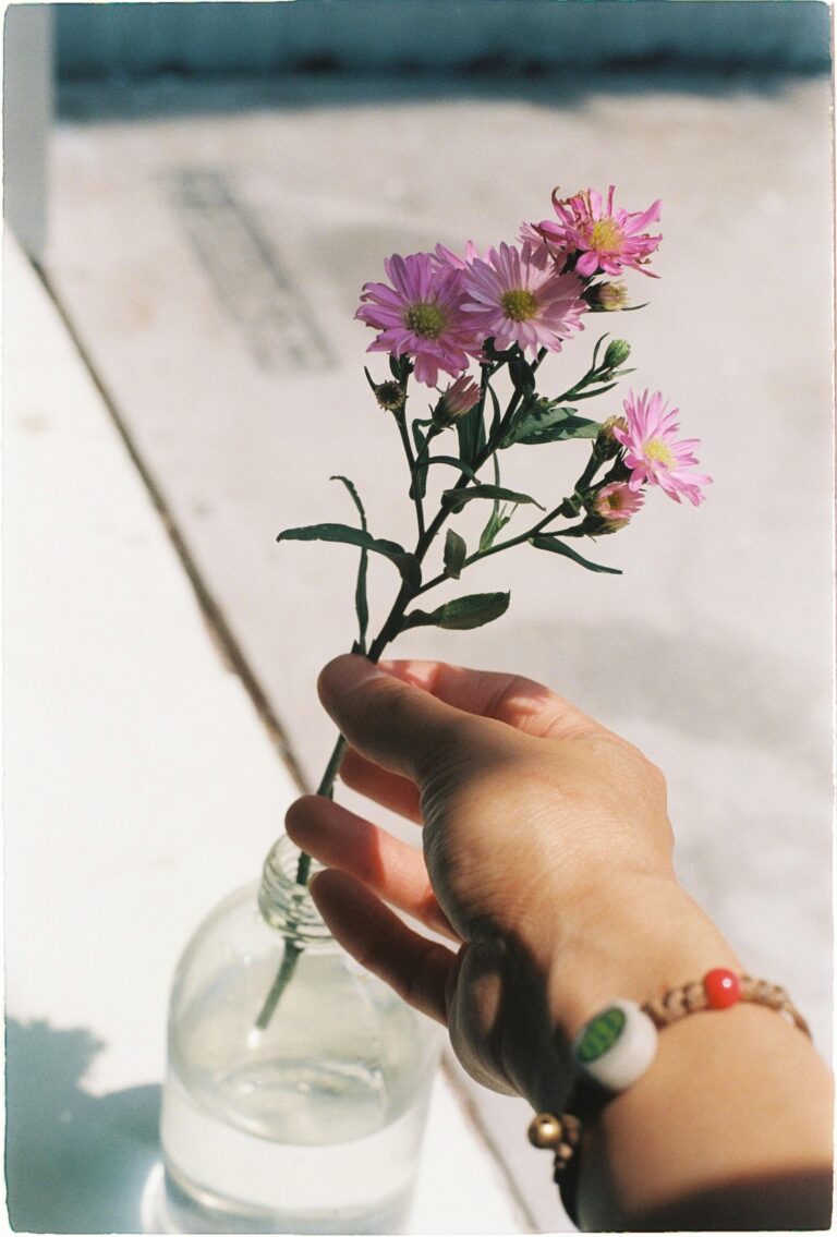 Das Foto zeigt die Hand einer Frau mit einem bunten Armband, die eine rosa Blume in eine kleine Flasche mit Wasser stellt.