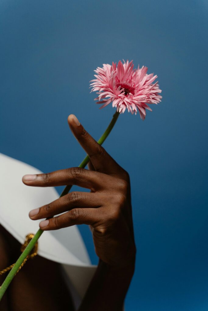 Das Foto zeigt die Hand eines Schwarzen Mannes, der eine rosa Blume in seiner Hand hält. Der Bildhintergrund ist blau.